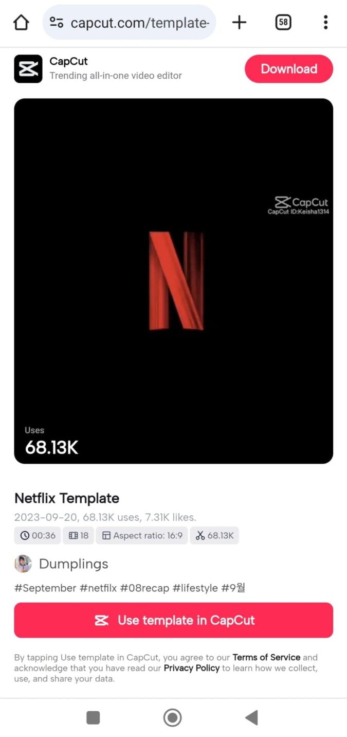 Netflix Vlog Capcut Template Link 2024 100 Working Link