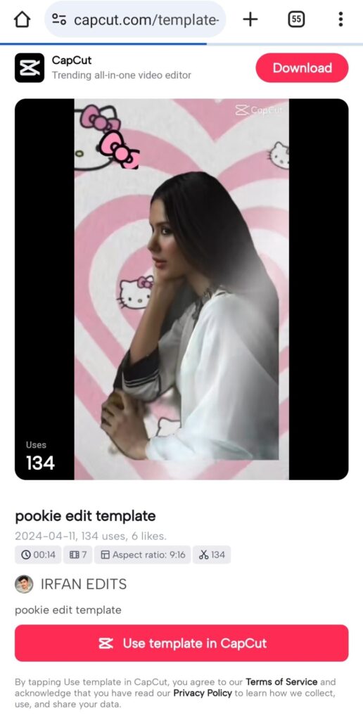 Pookie Edit Trend CapCut Templates