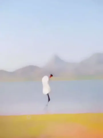 Brothers Gujarati CapCut Template