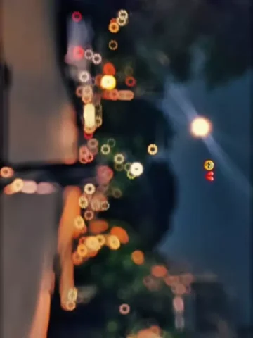 Tutela Dil Ne Godi CapCut Template
