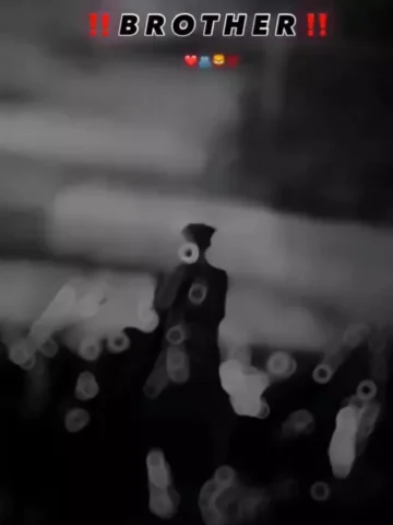 Brothers Gujarati CapCut Template