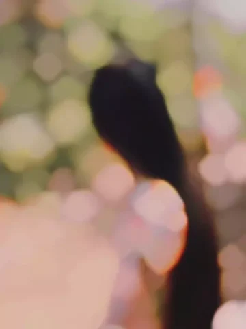 Ekla Padya CapCut Template