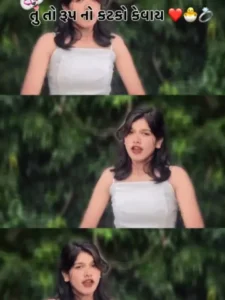 Tera roop Ni Vato CapCut Template